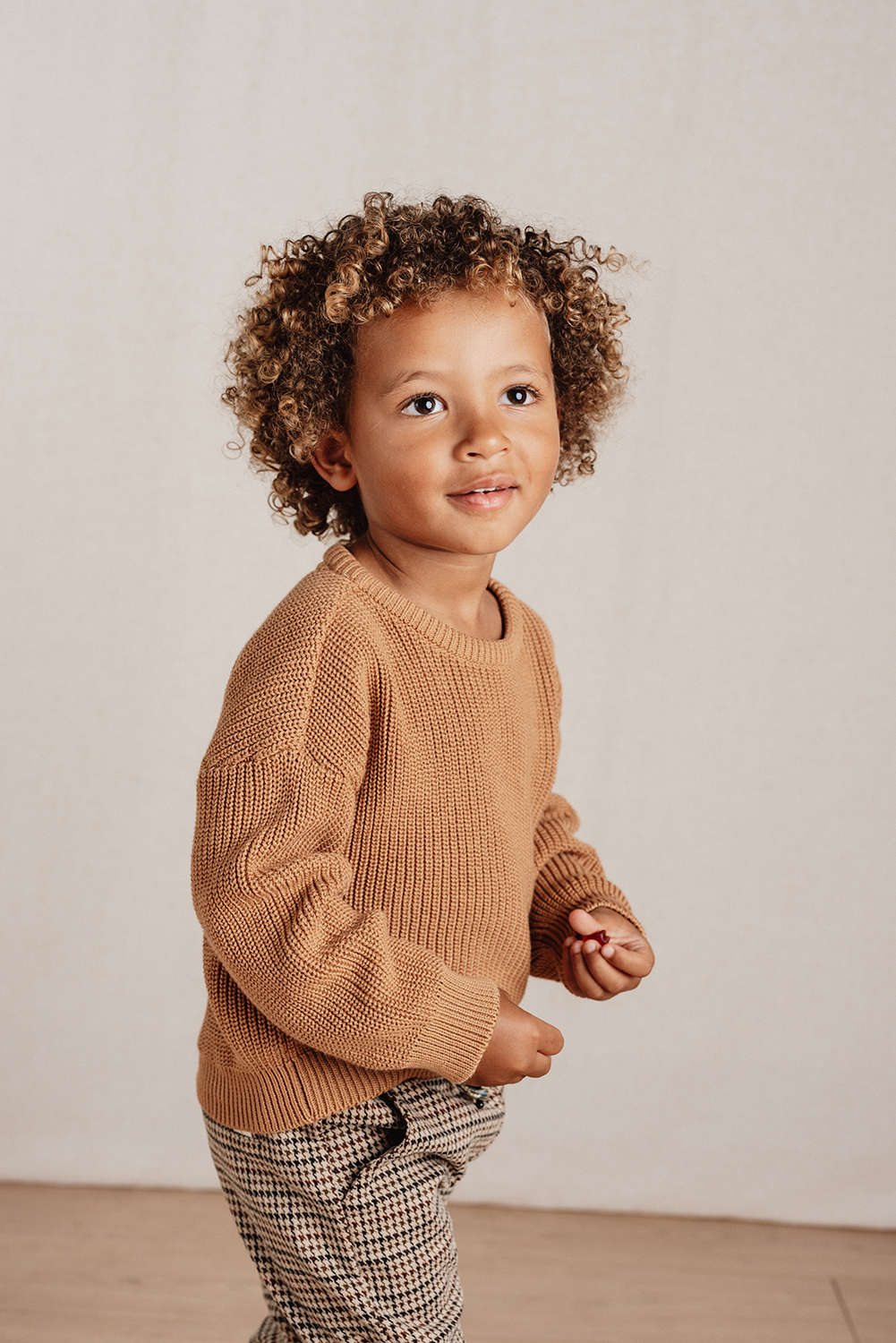 Long Sleeve Shirt / Pullover Strick - Little Farm braun (Gr. 92)
