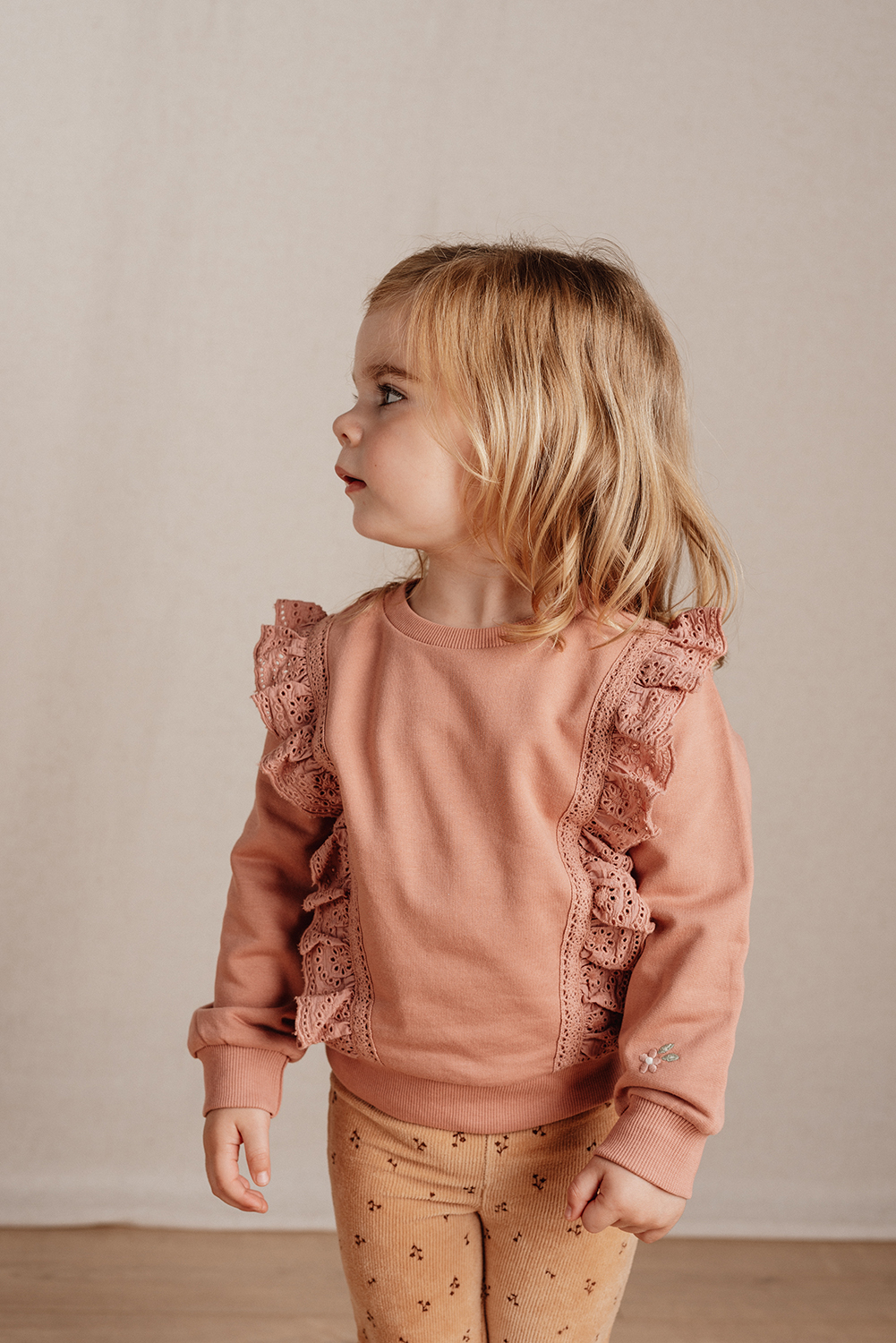 Long Sleeve Shirt / Pullover - Little Farm warm rose (Gr. 104)