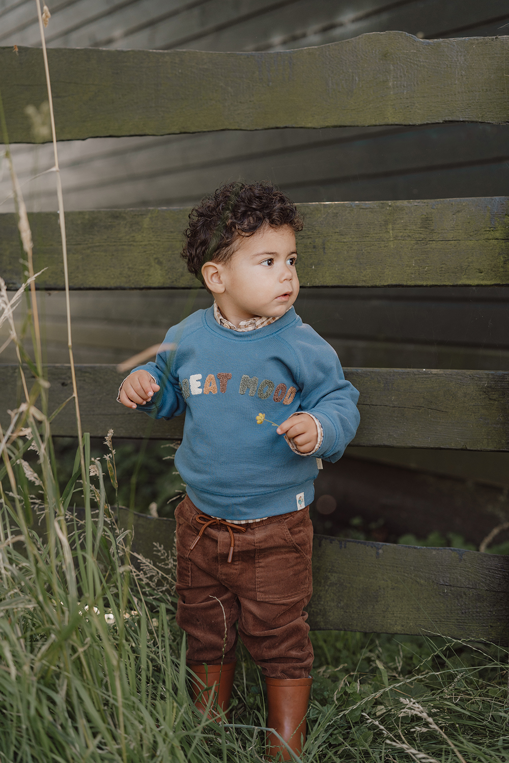 Long Sleeve Shirt / Pullover - Little Farm dunkelblau (Gr. 80)