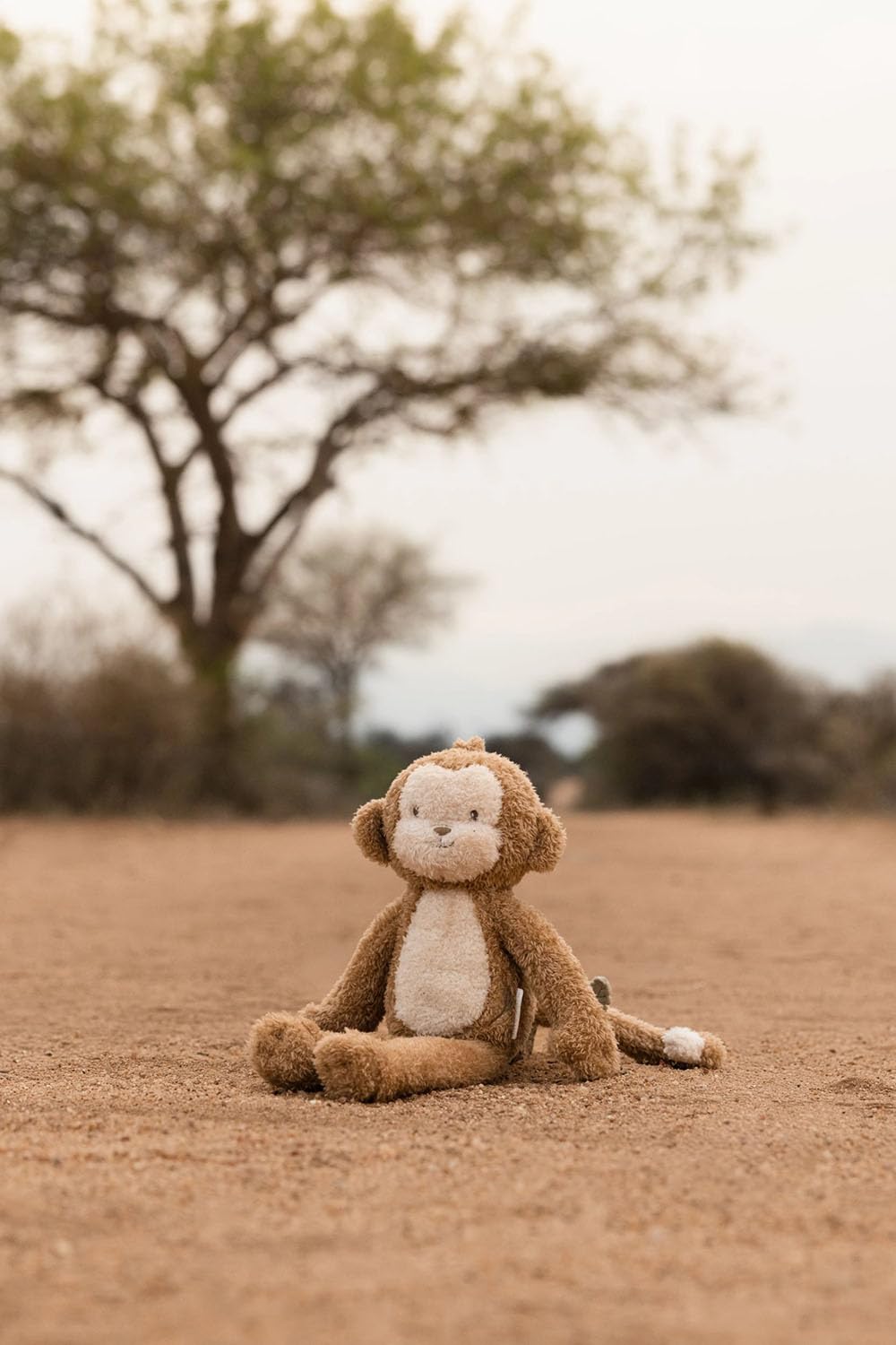 Stofftier Kuscheltier Affe - Safari Friends braun (34 cm)