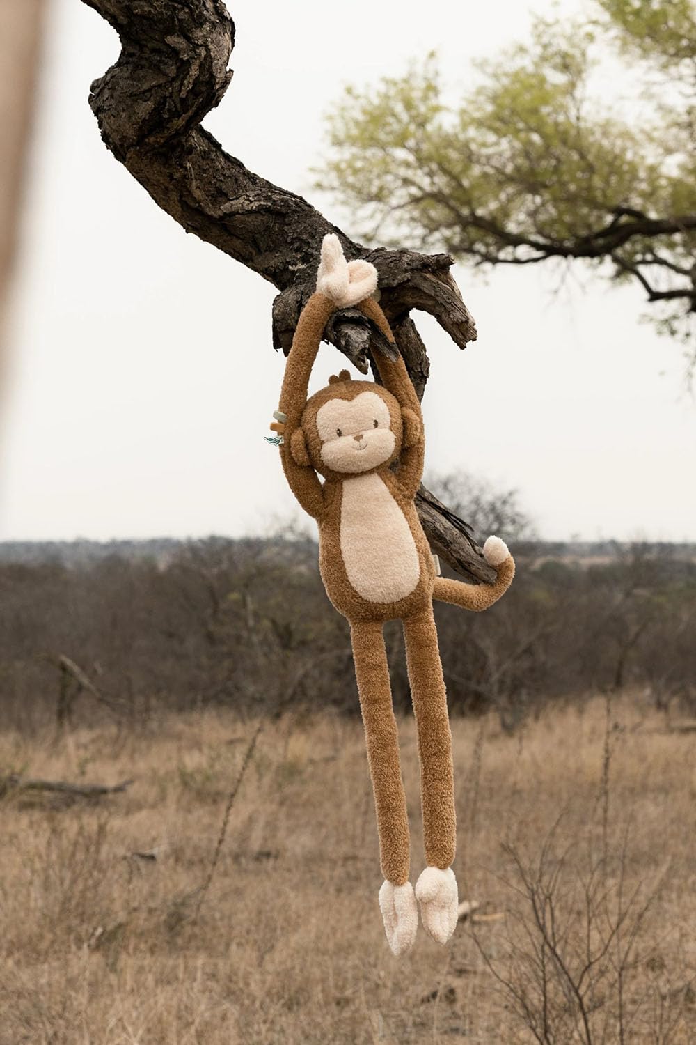 Stofftier Kuscheltier Affe XL - Safari Friends braun (80 cm)
