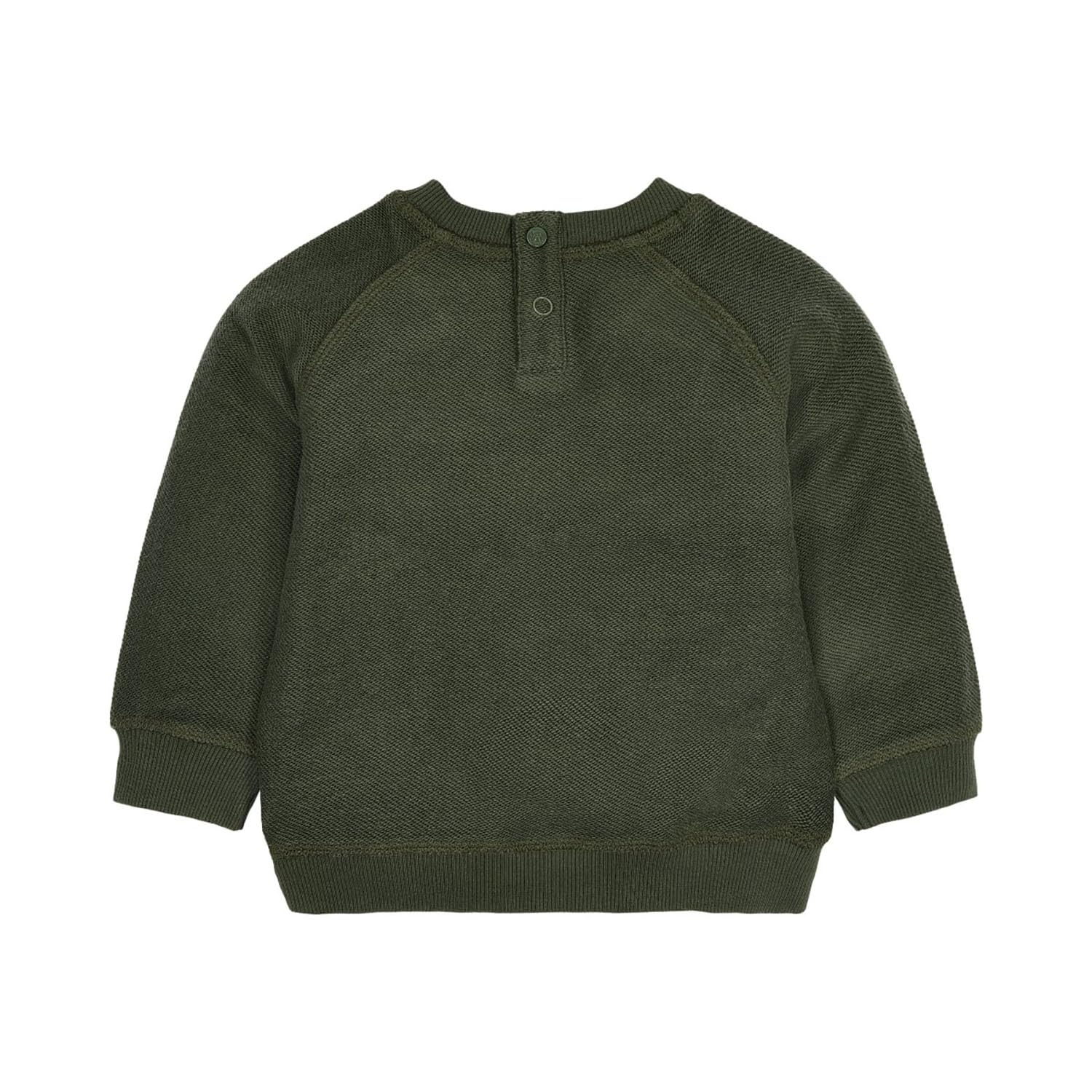 Long Sleeve Shirt / Pullover - Safari Friends grün (Gr. 74)