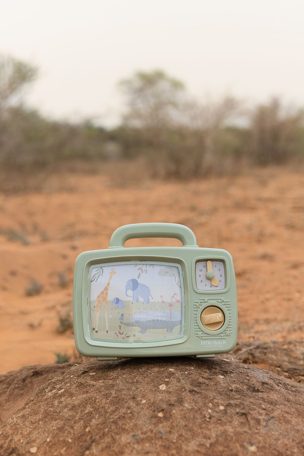 Musik-TV - Safari Friends
