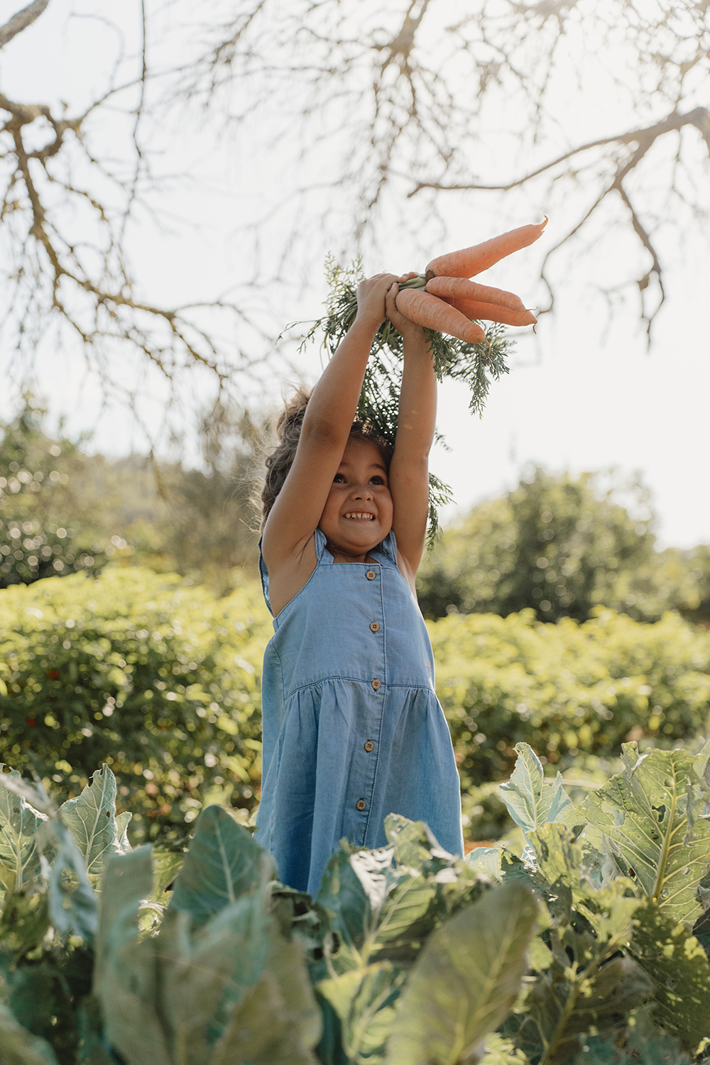 Kleid ärmellos mit Rüschen Denim - Little Farm jeans (Gr. 98)