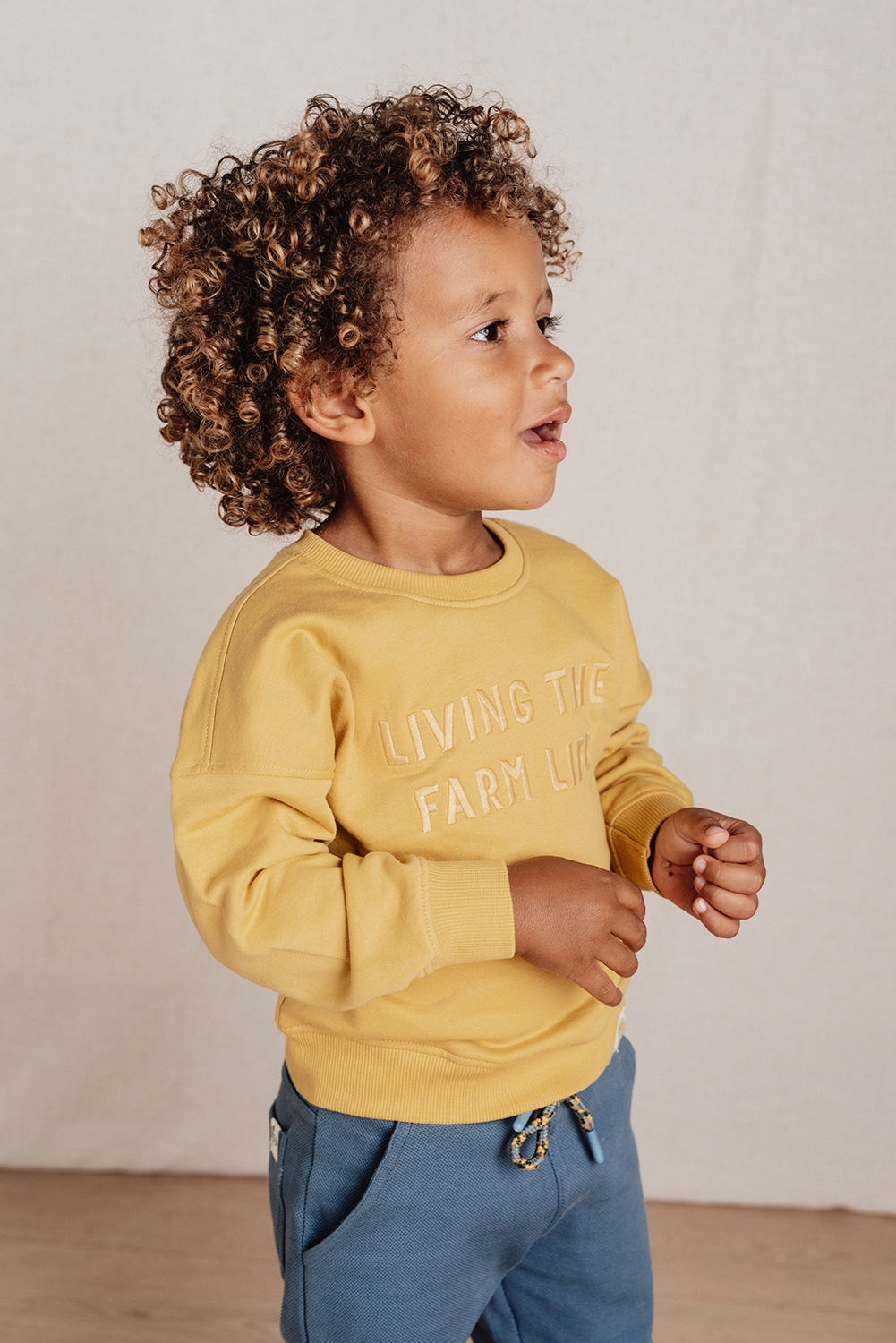 Long Sleeve Shirt / Pullover - Little Farm gelb (Gr. 98)