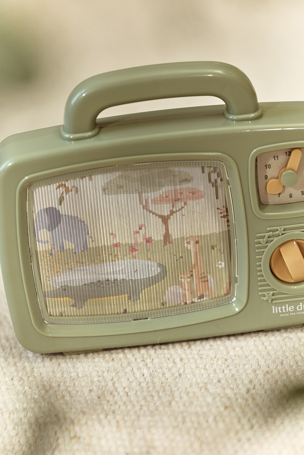 Musik-TV - Safari Friends