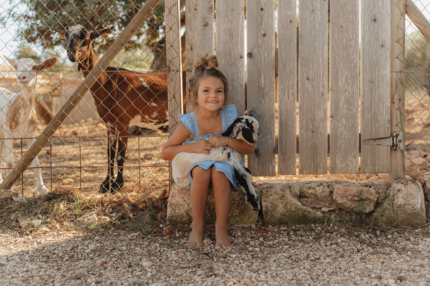 Kleid ärmellos mit Rüschen Denim - Little Farm jeans (Gr. 74)