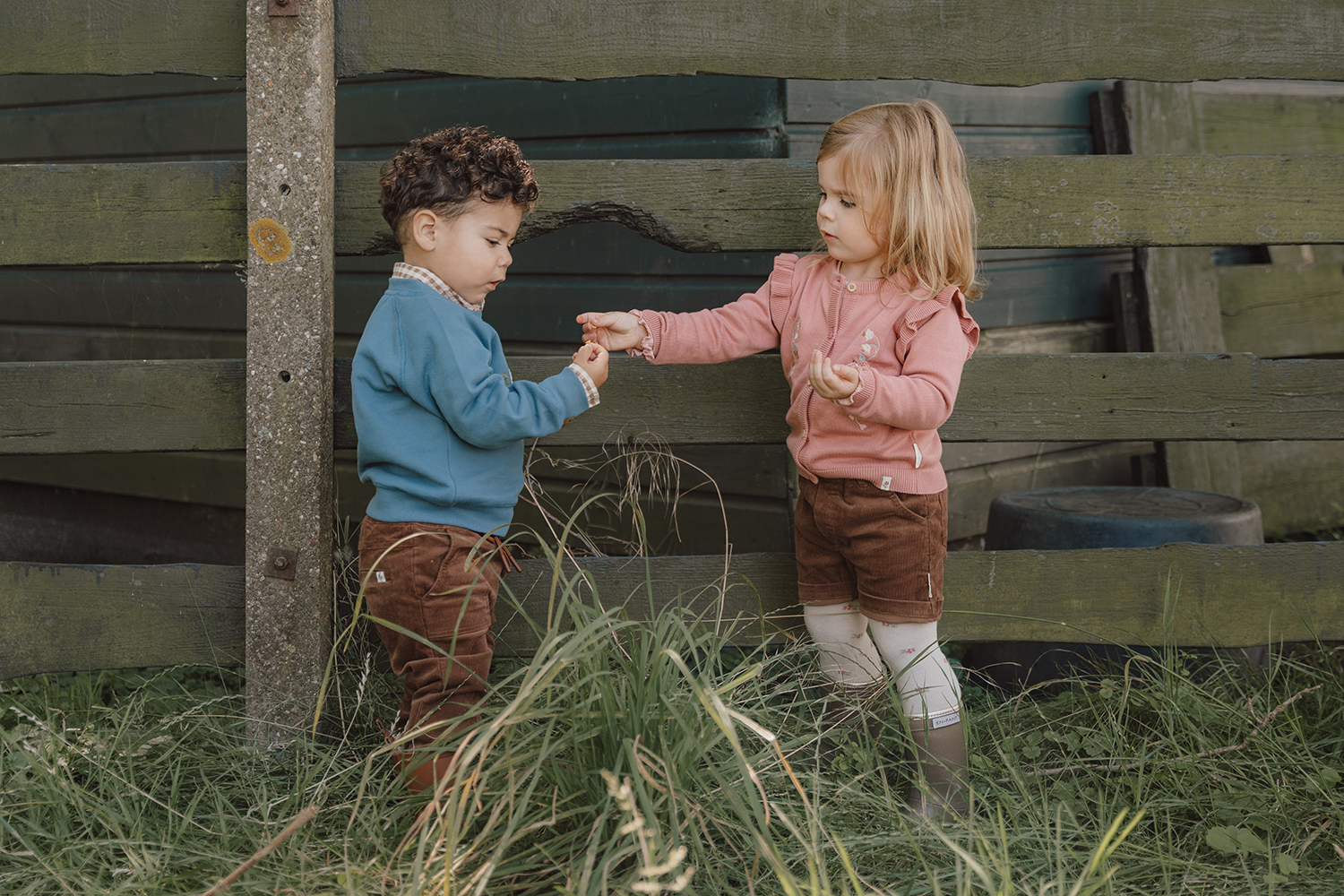 Long Sleeve Shirt / Pullover - Little Farm dunkelblau (Gr. 80)