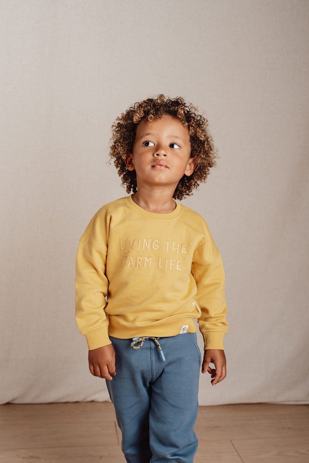 Long Sleeve Shirt / Pullover - Little Farm gelb (Gr. 98)