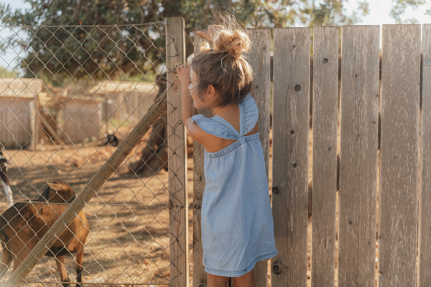 Kleid ärmellos mit Rüschen Denim - Little Farm jeans (Gr. 74)