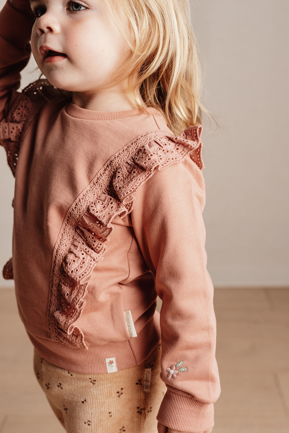 Long Sleeve Shirt / Pullover - Little Farm warm rose (Gr. 104)
